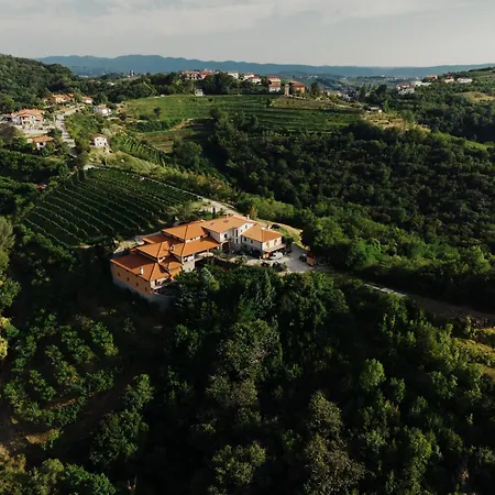 Zarova With Wine Tasting Experience *