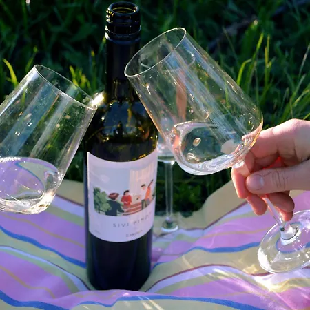 Apartment Zarova With Wine Tasting Experience Kojsko