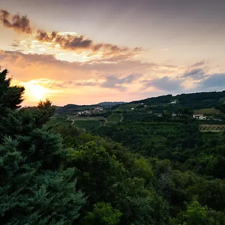 Apartamento Zarova With Wine Tasting Experience Kojsko
