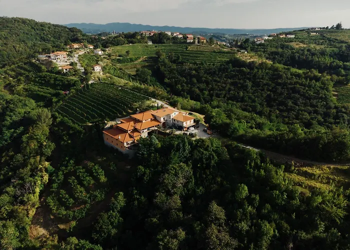 Zarova With Wine Tasting Experience *