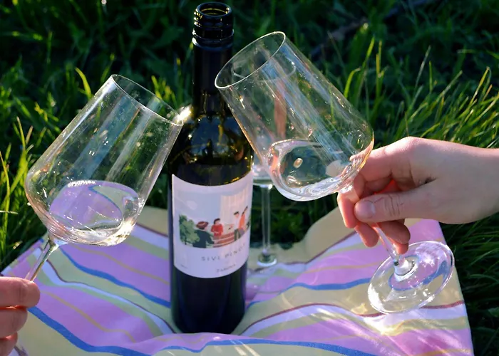 Διαμέρισμα Zarova With Wine Tasting Experience Kojsko