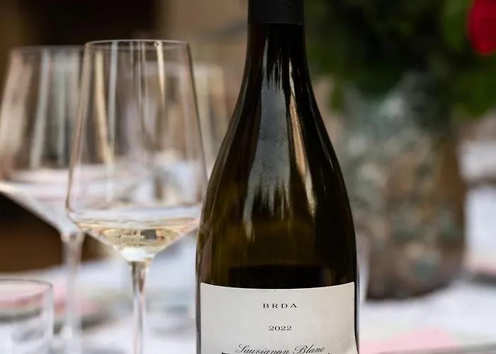 Zarova With Wine Tasting Experience Apartment Kojsko