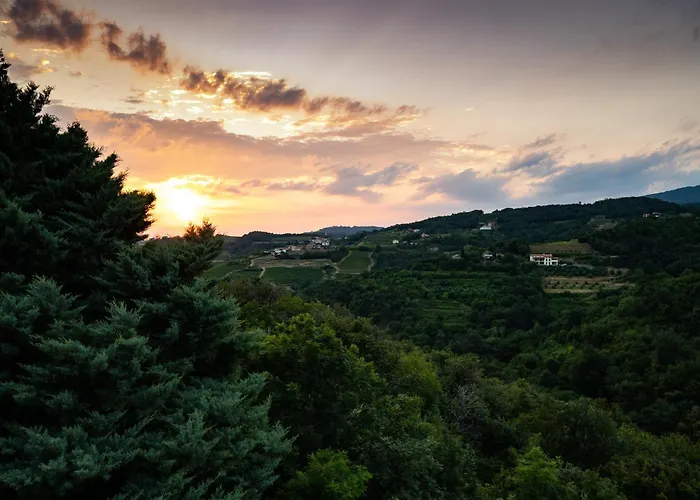 Apartment Zarova With Wine Tasting Experience Kojsko